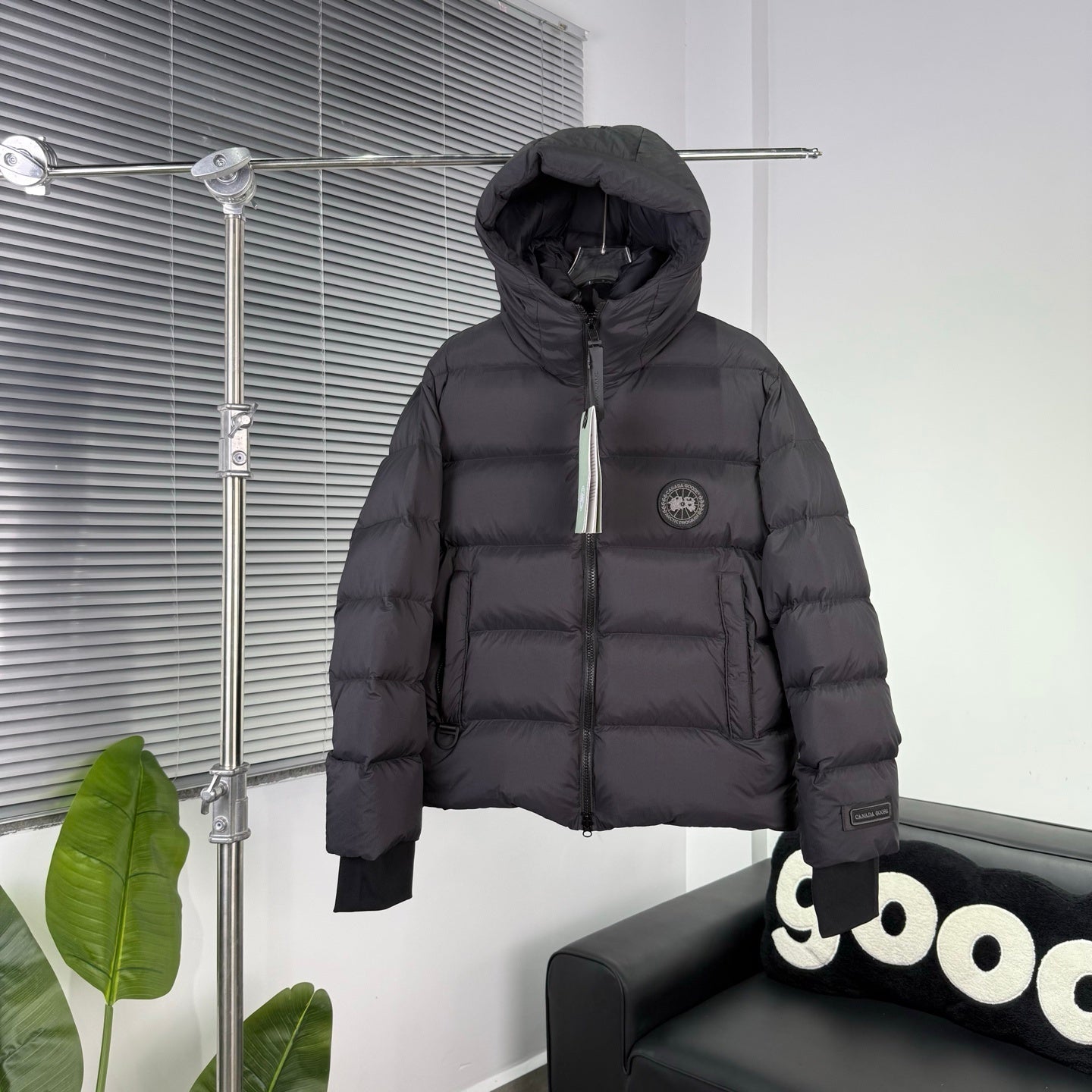 Byward Jacket