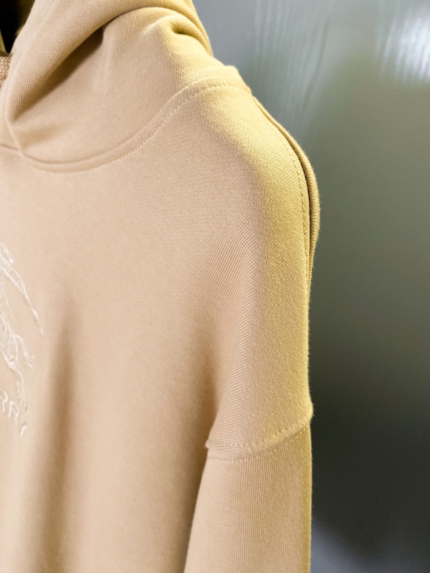 Logo Hoodie