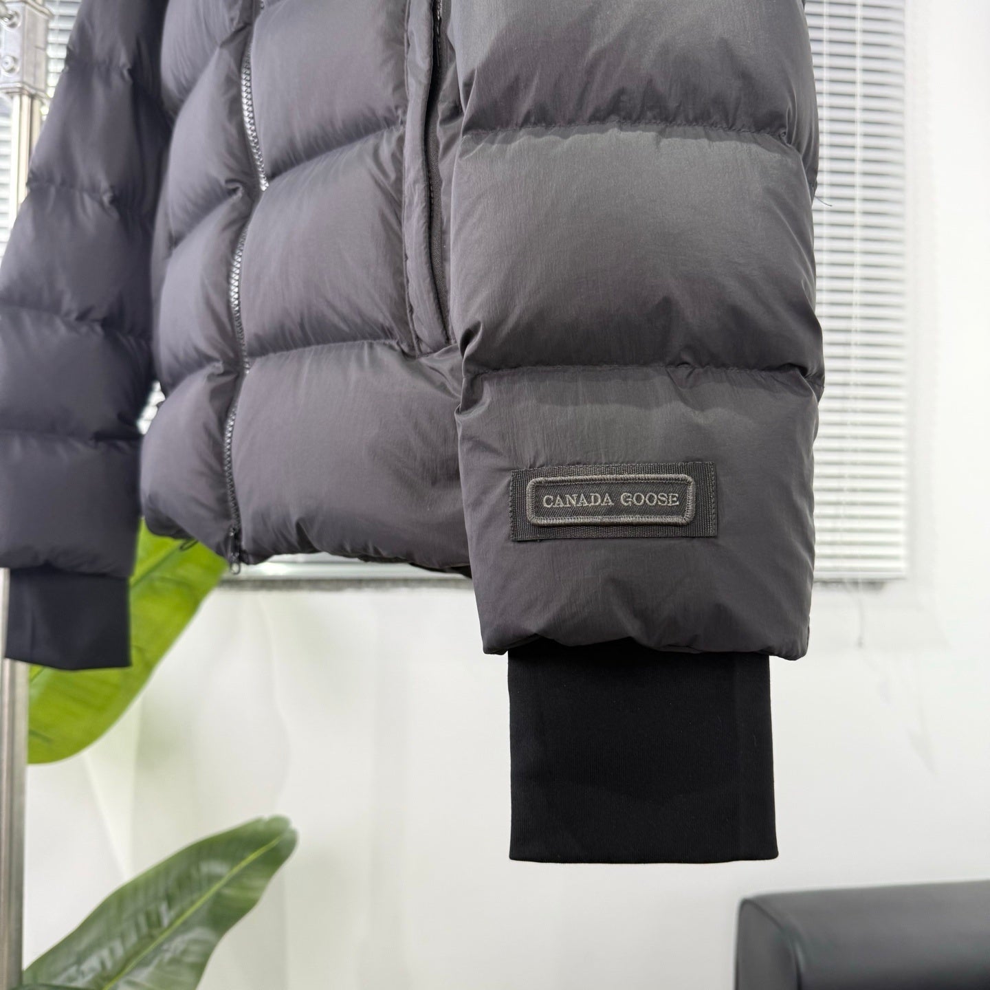 Byward Jacket