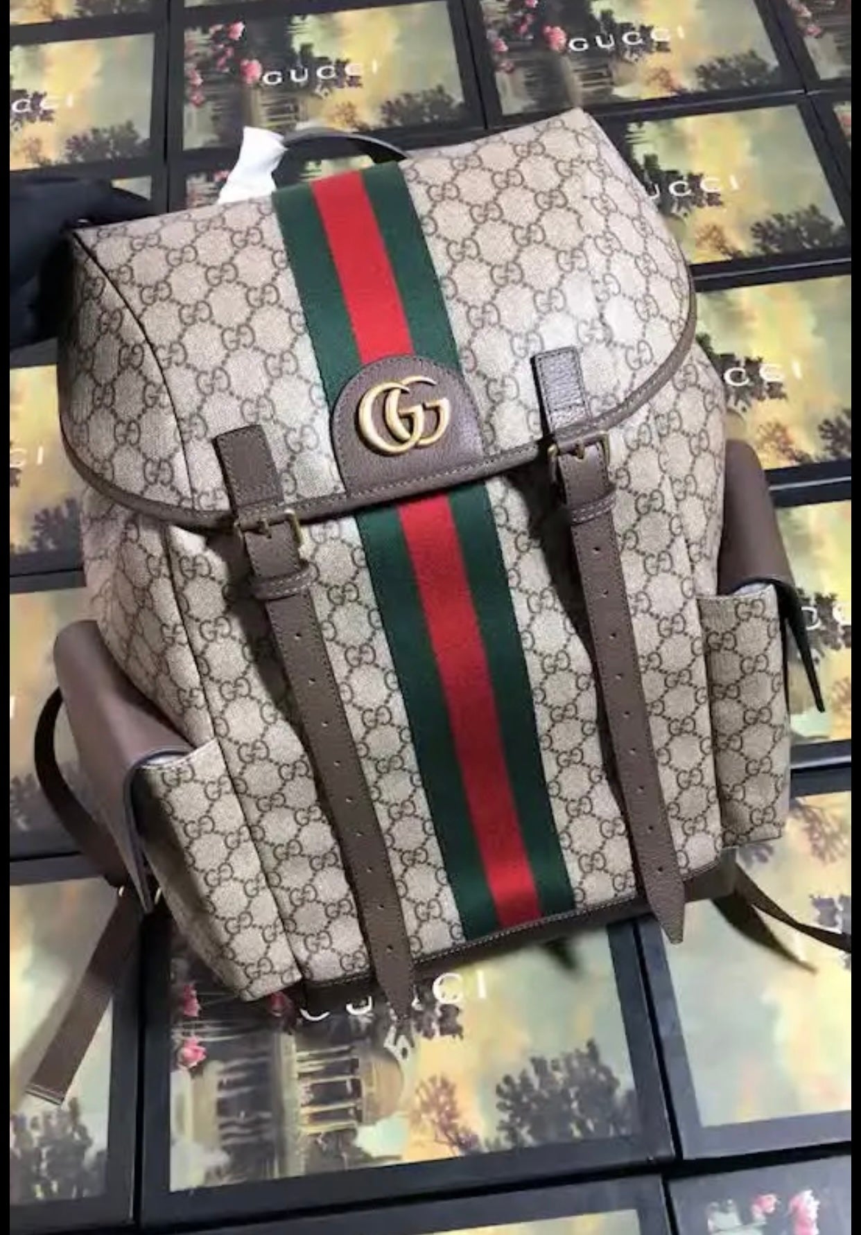 Backpack