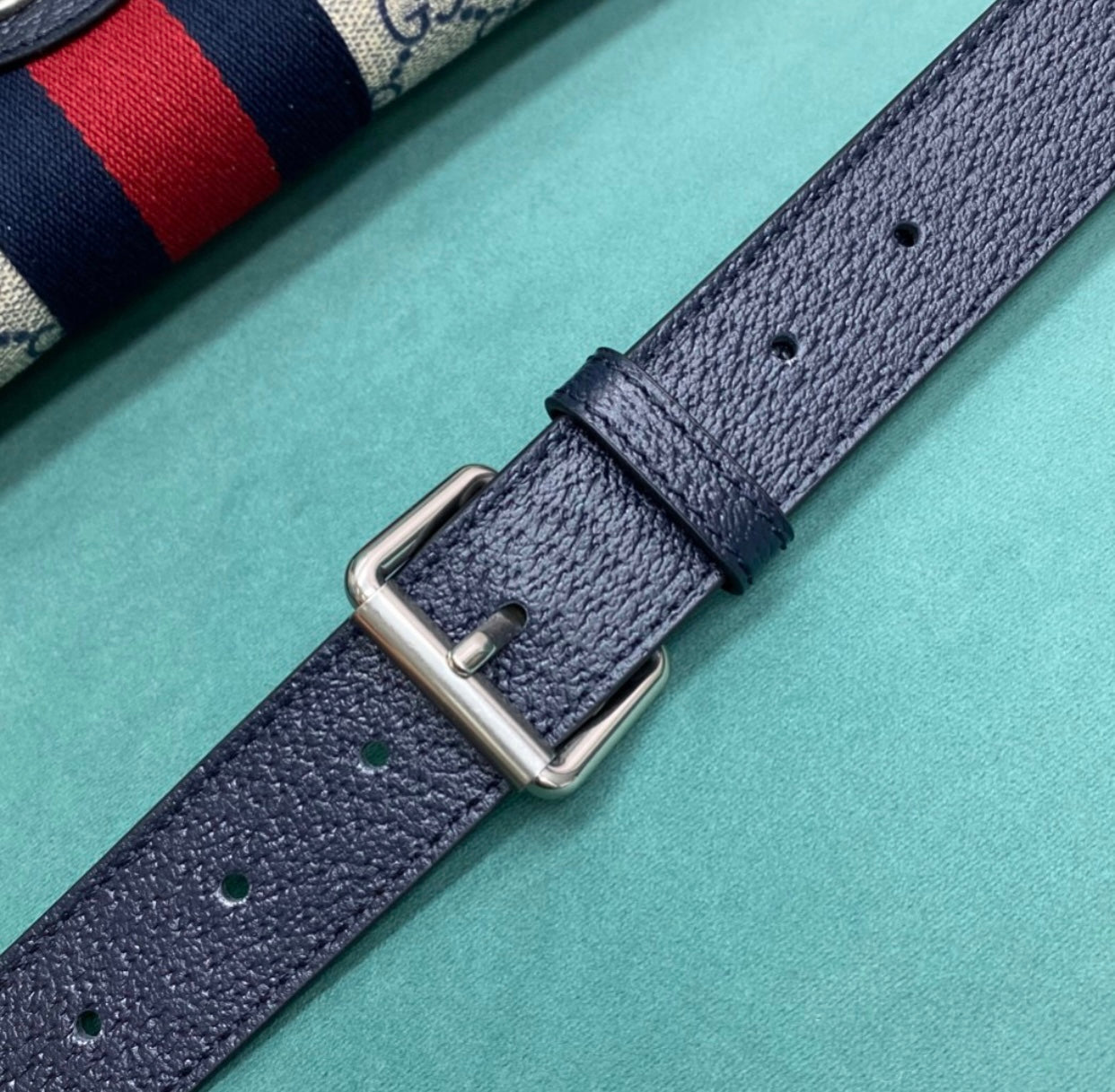 Ophidia Belt Bag