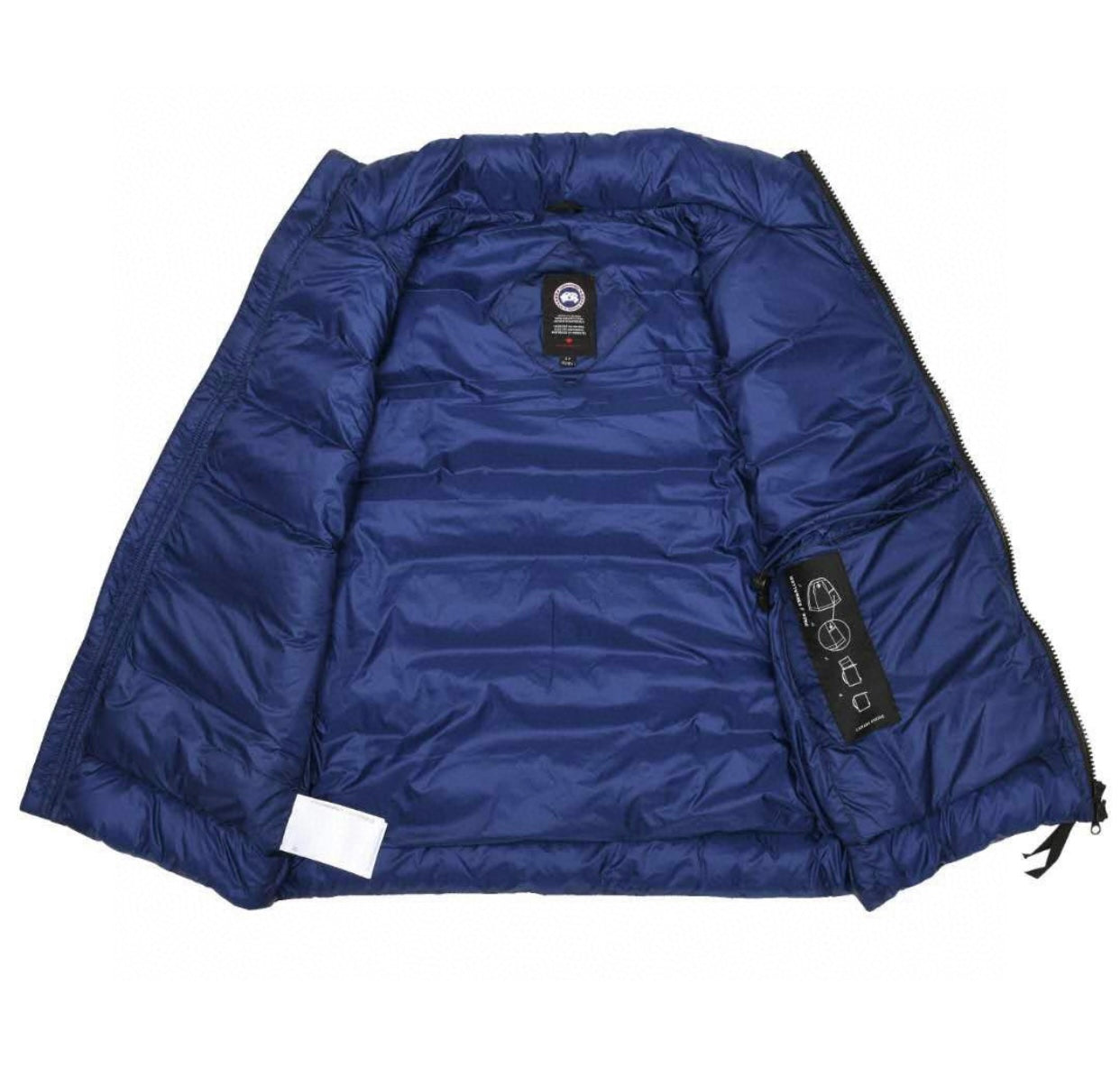 CG Gilet